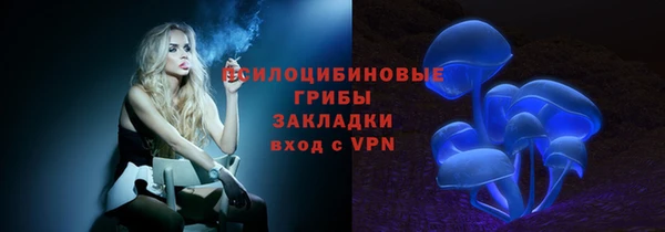 spice Надым