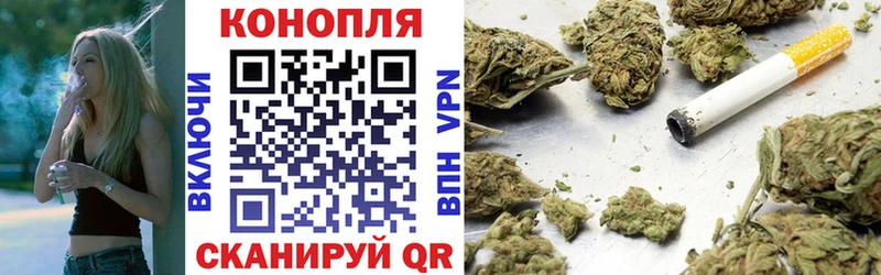где купить   Тихвин  mega зеркало  нарко площадка состав  Бошки марихуана семена 